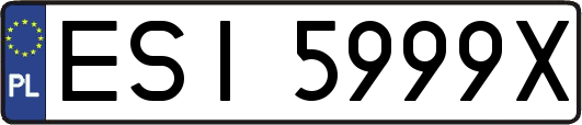 ESI5999X