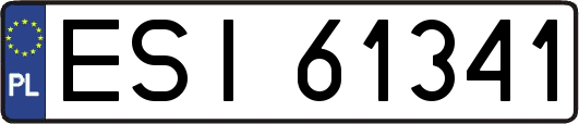ESI61341