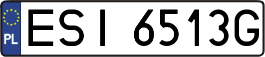 ESI6513G
