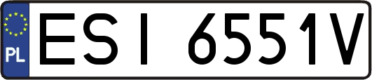 ESI6551V