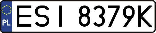 ESI8379K