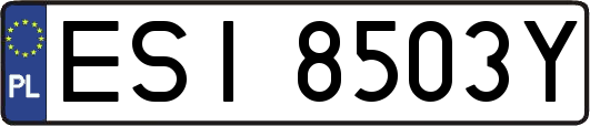 ESI8503Y