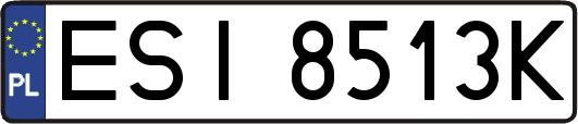 ESI8513K