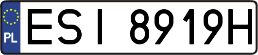 ESI8919H