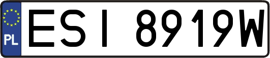 ESI8919W