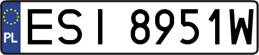 ESI8951W