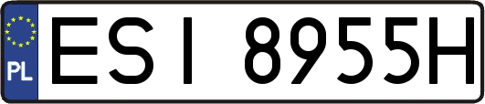 ESI8955H