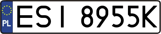 ESI8955K