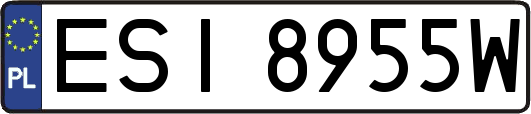 ESI8955W