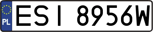 ESI8956W