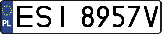 ESI8957V