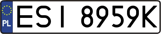 ESI8959K