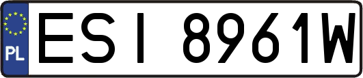 ESI8961W