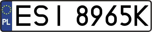 ESI8965K