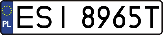 ESI8965T