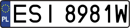 ESI8981W
