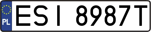 ESI8987T