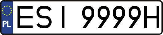 ESI9999H