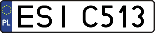 ESIC513