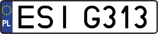 ESIG313