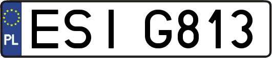 ESIG813
