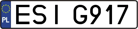 ESIG917
