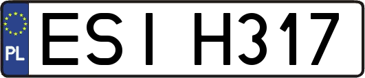 ESIH317