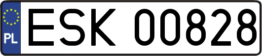 ESK00828
