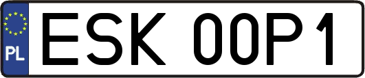 ESK00P1
