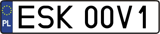 ESK00V1