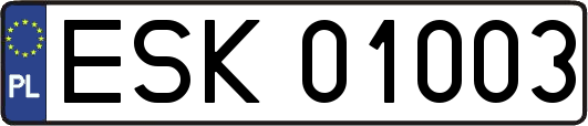 ESK01003
