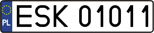 ESK01011