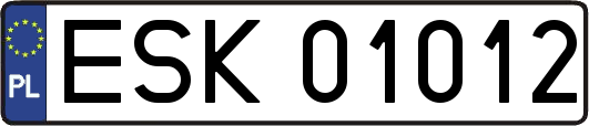ESK01012