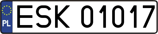 ESK01017