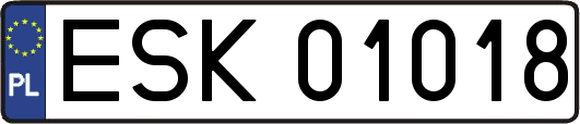 ESK01018