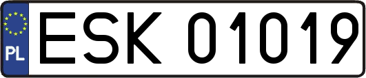 ESK01019