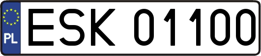 ESK01100