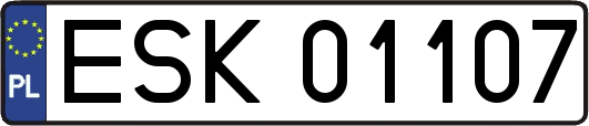ESK01107