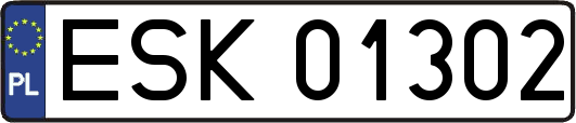 ESK01302