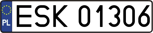 ESK01306