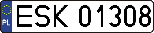 ESK01308
