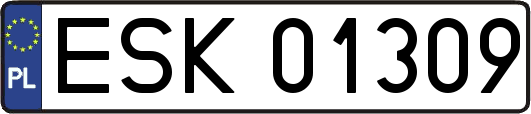 ESK01309