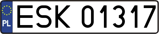 ESK01317