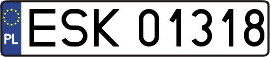 ESK01318