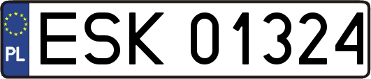 ESK01324