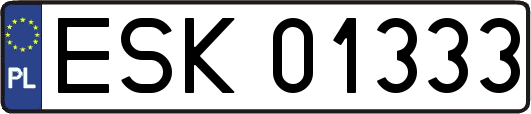 ESK01333