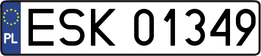 ESK01349