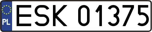 ESK01375