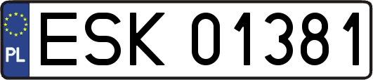 ESK01381
