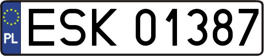 ESK01387
